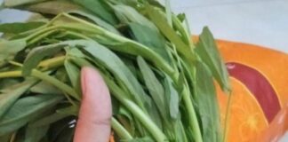 Harga Bahan Pokok hingga Sayuran di Batam Meroket harga sayuran di batam