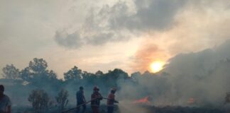 Kasus Kebakaran Meningkat, Ini Program Damkar Natuna dalam Mengatasi Kebakaran dan Menyelamatkan Masyarakat