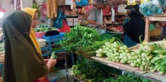 Hingga Awal Februari, Harga Sayuran Hijau Masih Meroket