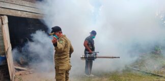 Kasus DBD di Natuna Kembali Meningkat