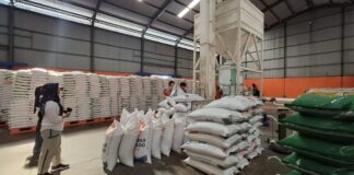 Pasokan Beras di Batam Cukup Tiga Bulan ke Depan, Stok Capai 2.197 Ton