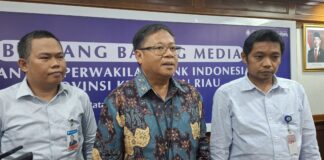 Bank Indonesia Prediksi Pertumbuhan Ekonomi Kepri Tahun 2025 di Angka 4,8-5,6 Persen
