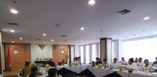 Dorong Investasi, Pemprov Kepri Kejar Legal Standing BP Kawasan