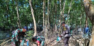 HPSN 2025, Ekowisata Pandang Tak Jemu Jadi Lokasi Aksi Bersih Mangrove