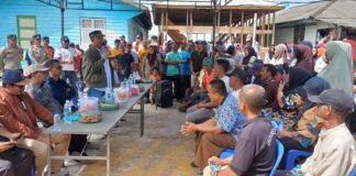 Ganggu Masyarakat Pesisir, Aktivitas di Hutan Mangrove Pulau Sugi Diminta Berhenti hutan mangrove pulau sugi