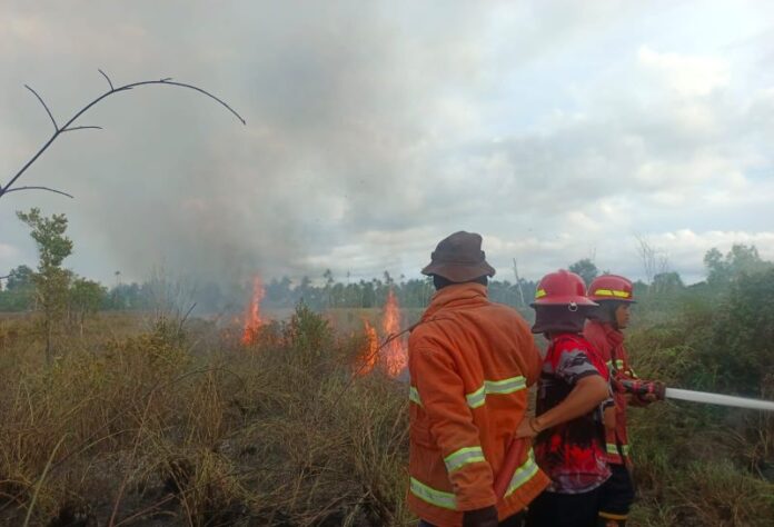 lahan pemkab natuna terbakar