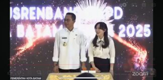 Banyak Tak Sesuai, Amsakar Minta BPK Audit Tata Kelola Lahan di Batam