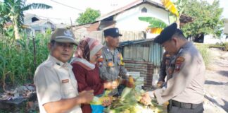 Panen Jagung di Asrama Polsek Belakang Padang, Warga Diajak Manfaatkan Lahan jagung polsek belakang padang