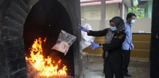 Karantina Kepri Musnahkan 60 Kilogram Komoditas Tidak Berdokumen