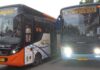 Transportasi Publik Makin Efisien, 13 Bus Trans Batam Baru Resmi Mengaspal transportasi publik di batam