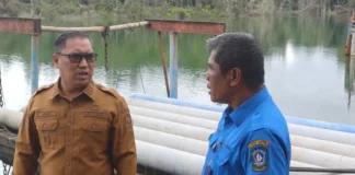 Cegah Pemanasan Global, Pemprov Kepri Targetkan Tanam 50 Hektare Mangrove per Tahun