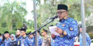 Lis Darmansyah Janji TPP Prioritas, Meski Keuangan Daerah Belum Stabil lis darmansyah