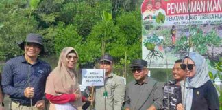 Tanjungpinang Gaungkan Mangrove sebagai Emas Hijau Masa Depan mangrove di tanjungpinang