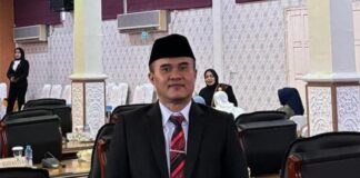 Darmendra Dukung Langkah Tegas Presiden Tertibkan Tambang Ilegal, Minta Terapkan di Karimun