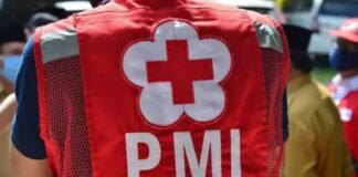 PMI Karimun Buka Lowongan Kepala Unit Donor Darah, Cek Syaratnya! lowongan PMI Karimun