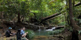 Taman Wisata Alam Eco Edu Park Panbil, Tawarkan Pengalaman Menarik di Libur Sekolah