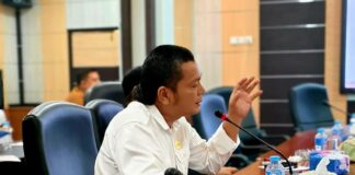 Soal Kelola Parkir Tak Lewat BLUD, DPRD Karimun Soroti Pemkab Mandatkan ke Pihak Swasta