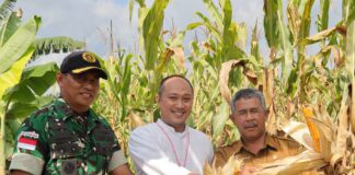 Denhanud 477 Kopasgat Panen Jagung, Wujud Nyata Dukung Ketahanan Pangan Nasional