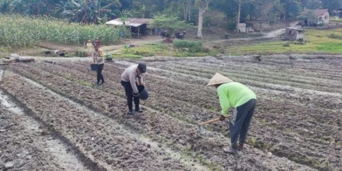 polisi di lingga bertani