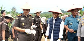 Panen Raya Jagung di Rempang Cate, Dorong Ketahanan Pangan dan Pemberdayaan Masyarakat