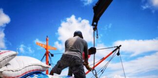 Nilai Ekspor Kepri Naik 26,64 Persen, Mesin dan Peralatan Listrik Jadi Andalan Nilai Ekspor Kepri