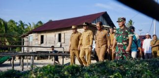 Rumput Laut Jadi Komoditi, Bupati Minta Perhatian Lebih Pemerintah Pusat rumput laut karimun