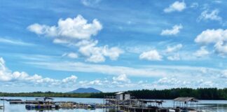 Madong Menyusul Pengudang Sebagai Objek Kawasan Ketahanan Pangan Maritim Kepri