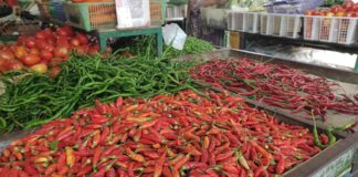 Cabai Merah di Batam Meroket, Harga Capai Rp110 per Kilogram