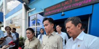 Gibran Dorong Realisasi Perpres Pemberantasan Penyelundupan Benih Lobster Penyelundupan Benih Lobster