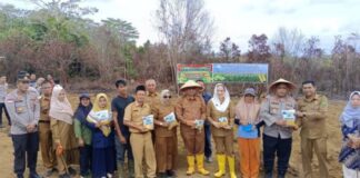 Tanam Jagung Pipil di Desa Gunung Putri, Natuna Dorong Ketahanan Pangan jagung pipil gunung putri