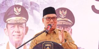 Wagub Nyanyang Tekankan Pentingnya Optimalisasi Kawasan FTZ BBK