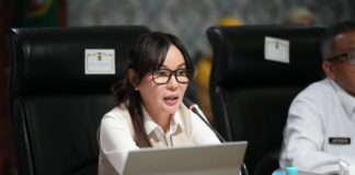 Diperkuat Regulasi, FTZ Batam Tawarkan Efisiensi dan Paling Siap Jadi Pusat Investasi Global