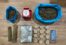 Pria di Batam Jadi Bandar Narkoba di Pemukiman Liar, Polisi Amankan 2,6 Kilogram Ganja