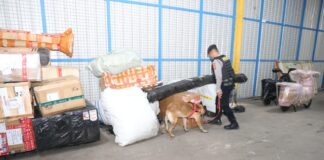 Polda Kepri Razia Kantor Ekspedisi di Batam, Pastikan Jalur Pengiriman Barang Aman dari Narkoba