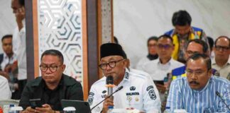Percepat Pembangunan, Lis Sampaikan Tiga Usulan Prioritas ke Komisi V DPR RI Komisi V DPR RI