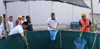 Warga Binaan Lapas Batam Berlatih Mandiri, Panen Ribuan Ekor Ikan Lele dan Nila warga binaan lapas batam