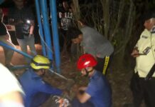 Petugas Damkar Batam Amankan Buaya Penghuni Dam Duriangkang yang Viral di Media Sosial