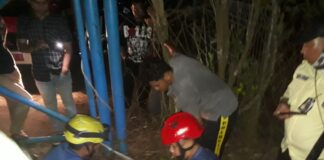 Petugas Damkar Batam Amankan Buaya Penghuni Dam Duriangkang yang Viral di Media Sosial