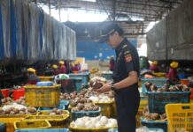 Dorong Pertumbuhan UMKM, Bea Cukai Dukung Ekspor Perdana Produk Minuman Kemasan di Karimun