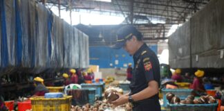 Dorong Pertumbuhan UMKM, Bea Cukai Dukung Ekspor Perdana Produk Minuman Kemasan di Karimun