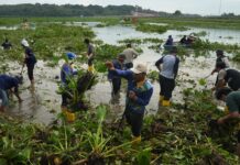 Jaga Kualitas Air, BP Batam Gandeng Masyarakat Bersihkan Waduk Duriangkang