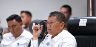 Hari Jadi Batam ke-196, Ada Atraksi Udara hingga Hiburan Rakyat