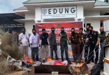 Inkracht! Kejari Karimun Musnahkan BB Pidana, Mulai dari Narkotika, Rokok hingga Handphone