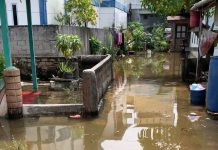 Meral Kota Dilanda Banjir Rob, Pembangunan Perumahan Diduga Perparah Dampaknya banjir rob meral kota