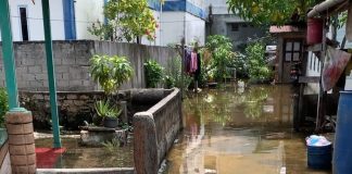 Meral Kota Dilanda Banjir Rob, Pembangunan Perumahan Diduga Perparah Dampaknya banjir rob meral kota