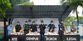 Bea Cukai Karimun Musnahkan Rokok Ilegal Senilai Rp526 Juta rokok ilegal karimun