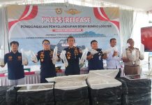 Bea Cukai Gagalkan Penyelundupan Benih Lobster Senilai Rp12,99 Miliar di Perairan Pulau Kongka Besar