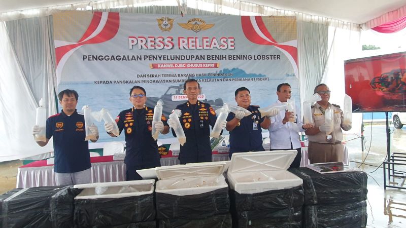 Bea Cukai Gagalkan Penyelundupan Benih Lobster Senilai Rp12,99 Miliar di Perairan Pulau Kongka Besar