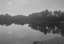 Bantah Tudingan Rusak Lingkungan, Tridaya Group Akui Pengurusan Izin SIPB Bergulir