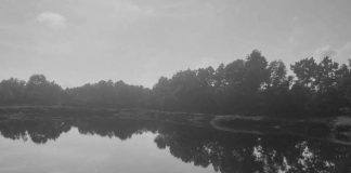 Bantah Tudingan Rusak Lingkungan, Tridaya Group Akui Pengurusan Izin SIPB Bergulir